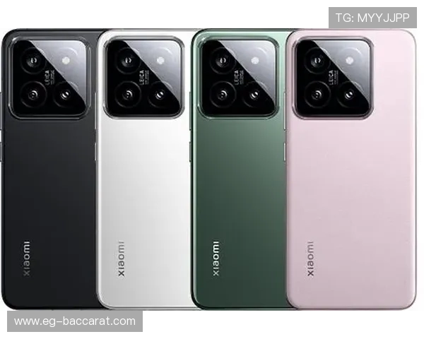 全面屏与常规屏对比分析 哪种更适合游戏体验提升